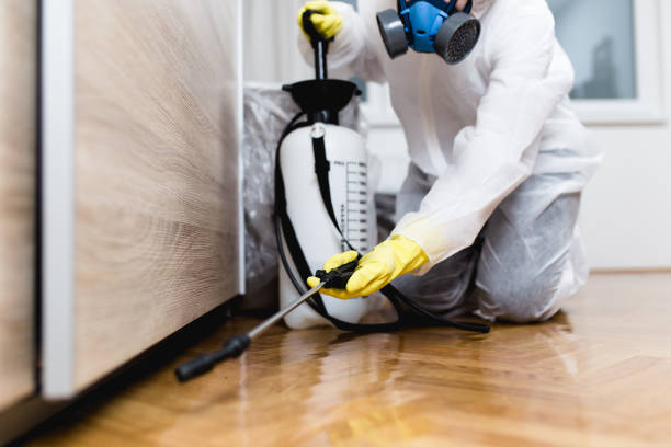 Best Commercial Pest Control Services  in Citrus Park, AZ