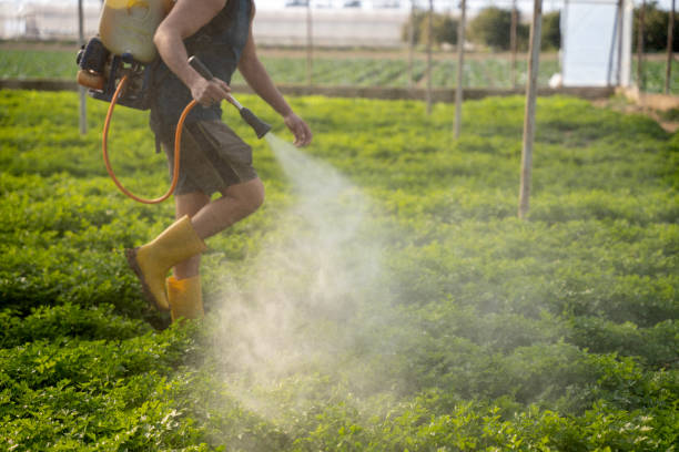 Trusted Citrus Park, AZ Pest Control Experts