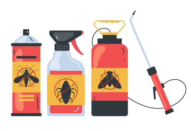 Best Termite Control Services  in Citrus Park, AZ